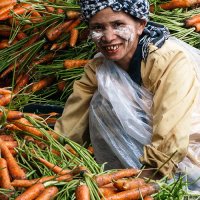 eigene Fotografie &raquo; Asien + Australien 2018